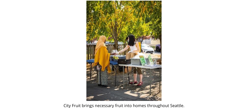 city_fruit_brings_necessary_fruit_into_homes_throughout_seattle.png