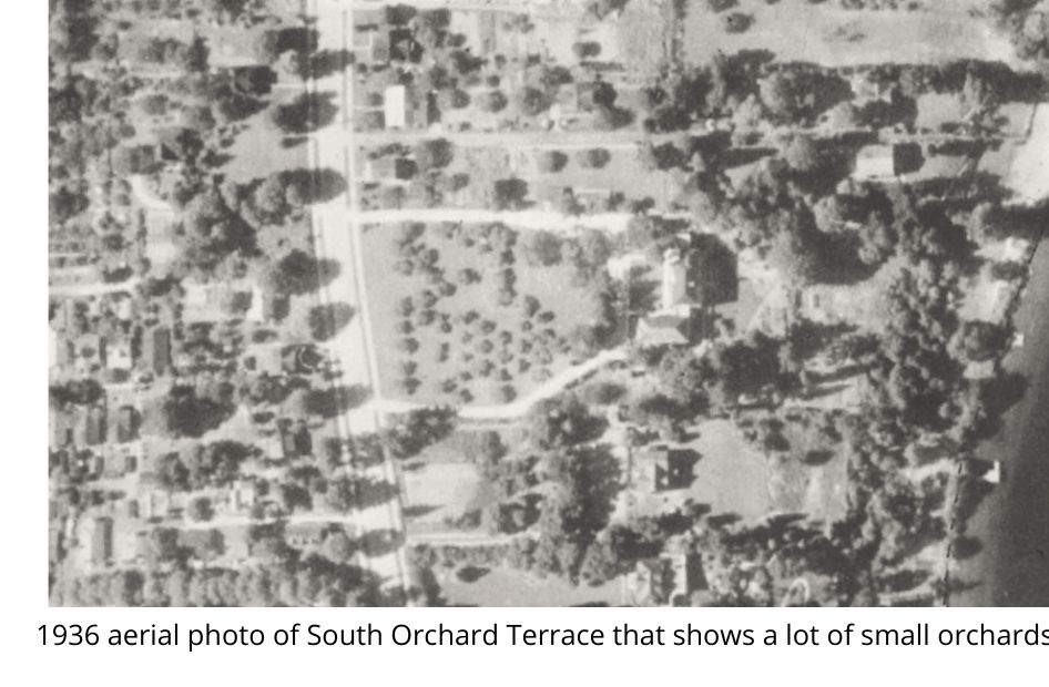 south_orchard_terrace.jpg